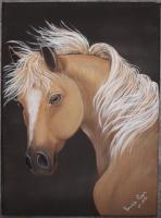 Canvas Paintings - Horse - Acrylic